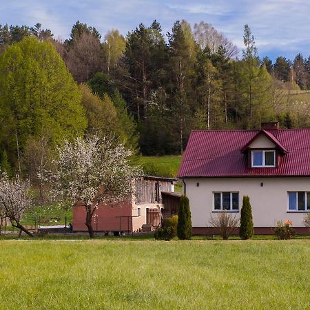 U Jadzi Pogorze Przemyskie Bircza Екстериор снимка